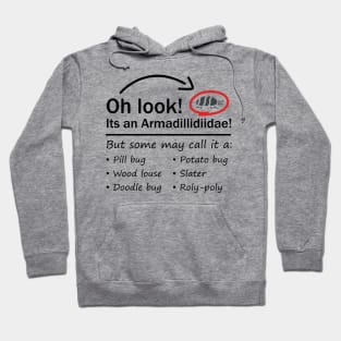 Oh Look! - Pill Bug Names Hoodie